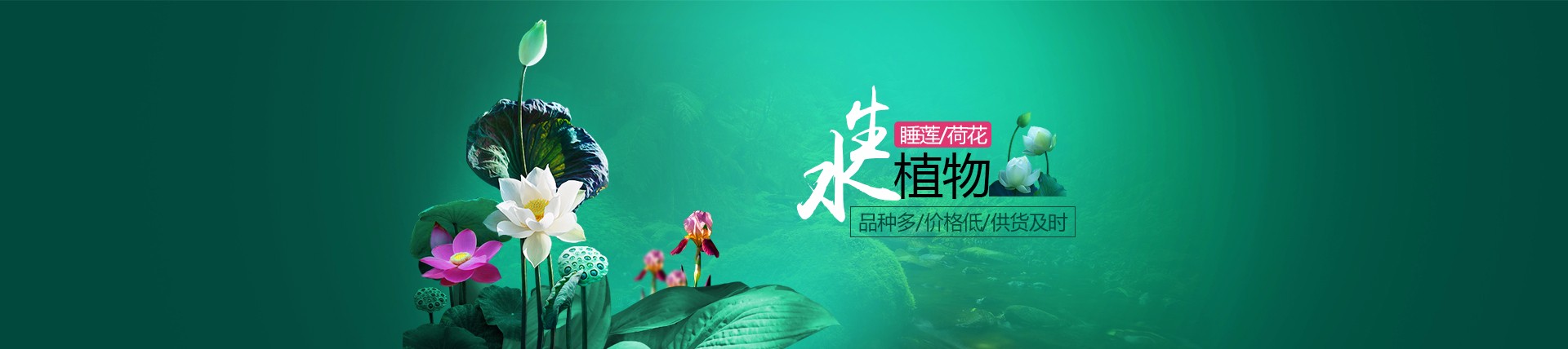 鲜花水草花卉网站模板