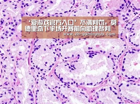 爱游戏直播