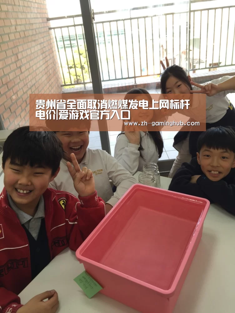 贵州省全面取消燃煤发电上网标杆电价|爱游戏官方入口(图2) 爱游戏官方入口