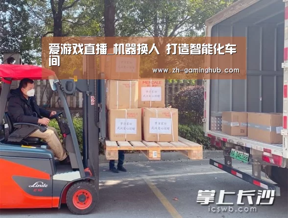 爱游戏直播
