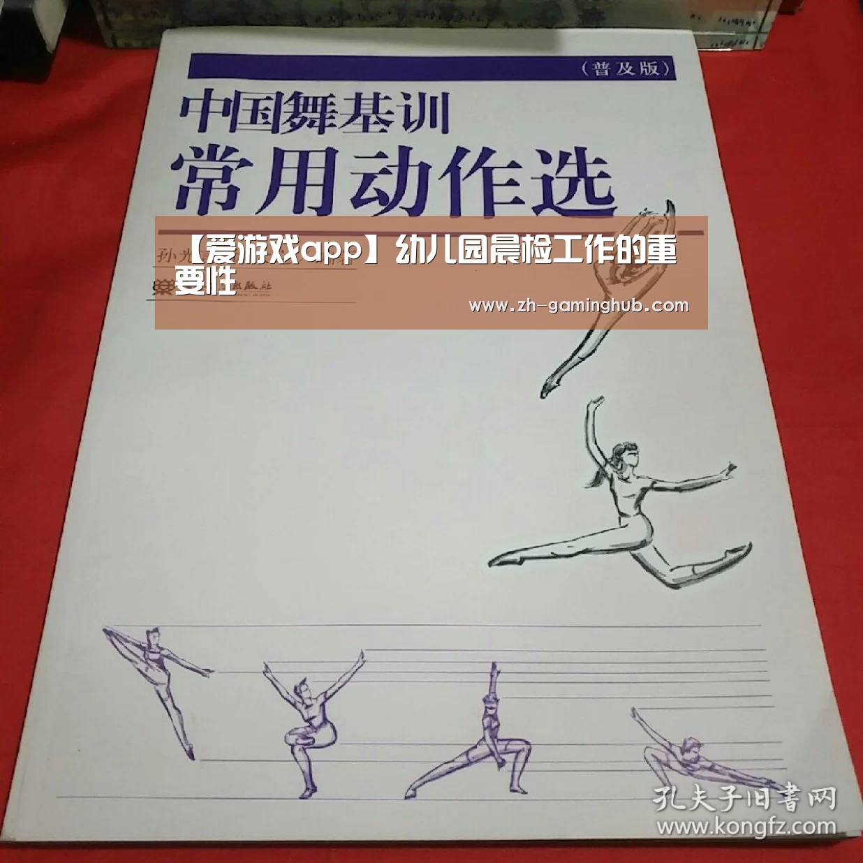 爱游戏官方入口