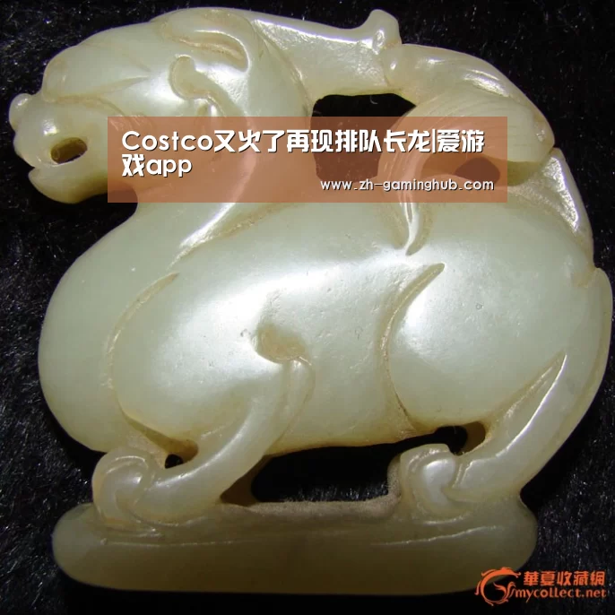 Costco又火了再现排队长龙|爱游戏app(图1) 爱游戏官方入口