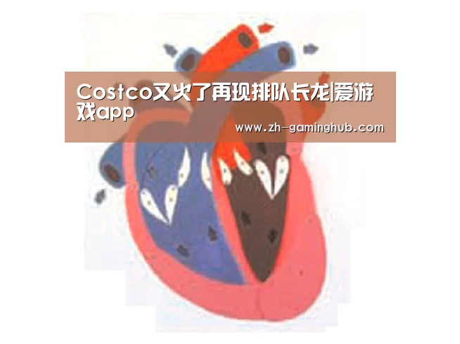 Costco又火了再现排队长龙|爱游戏app(图2) 爱游戏直播