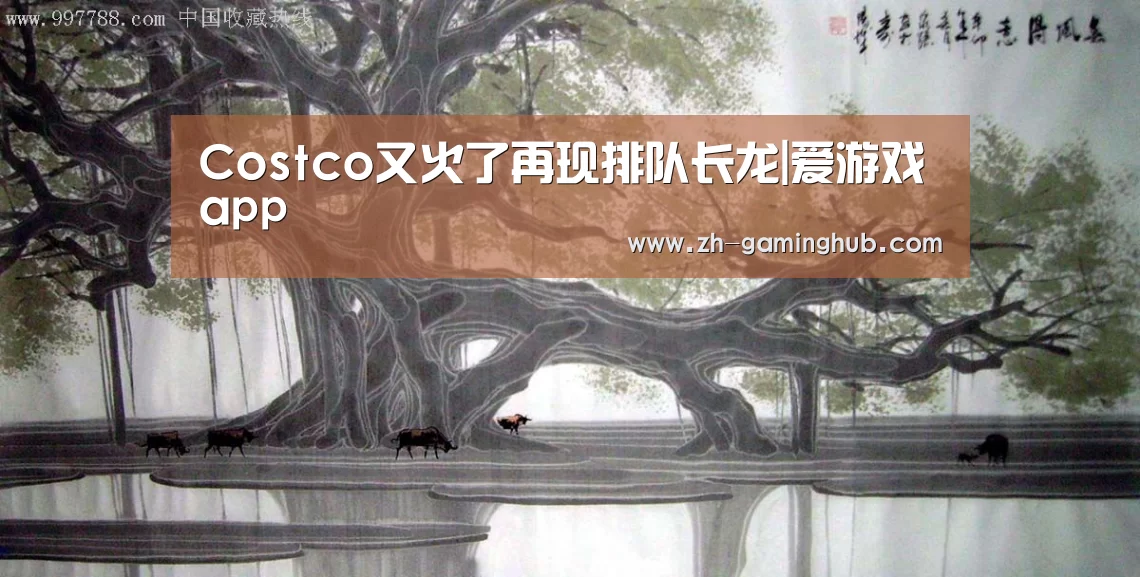 Costco又火了再现排队长龙|爱游戏app(图3) 爱游戏官方入口