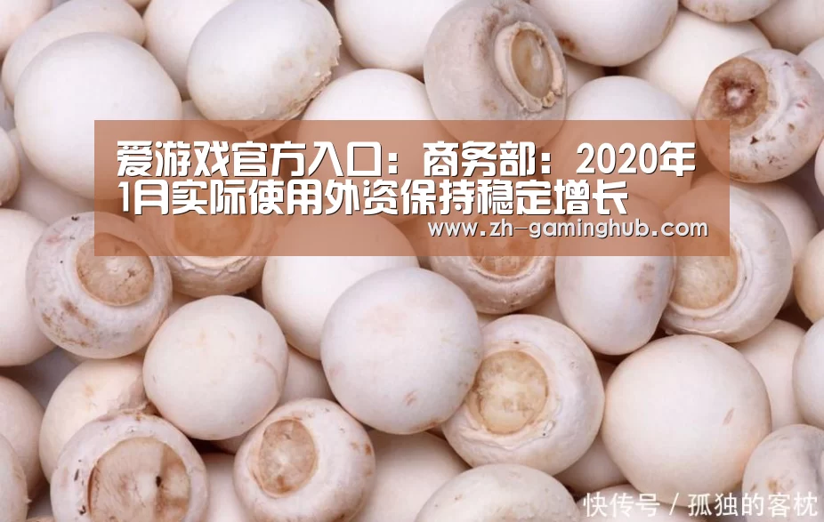 爱游戏app