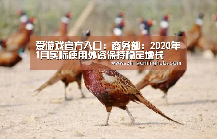 爱游戏app