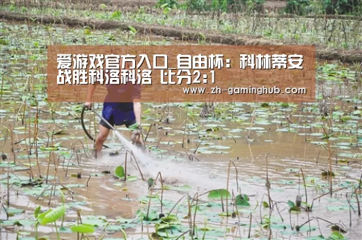 爱游戏直播