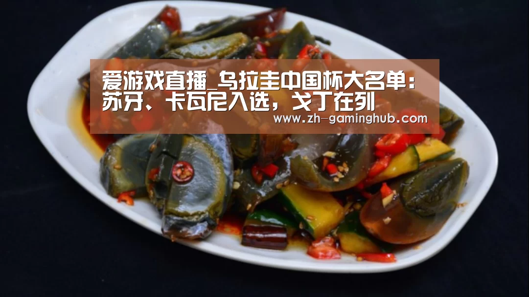 爱游戏官方入口